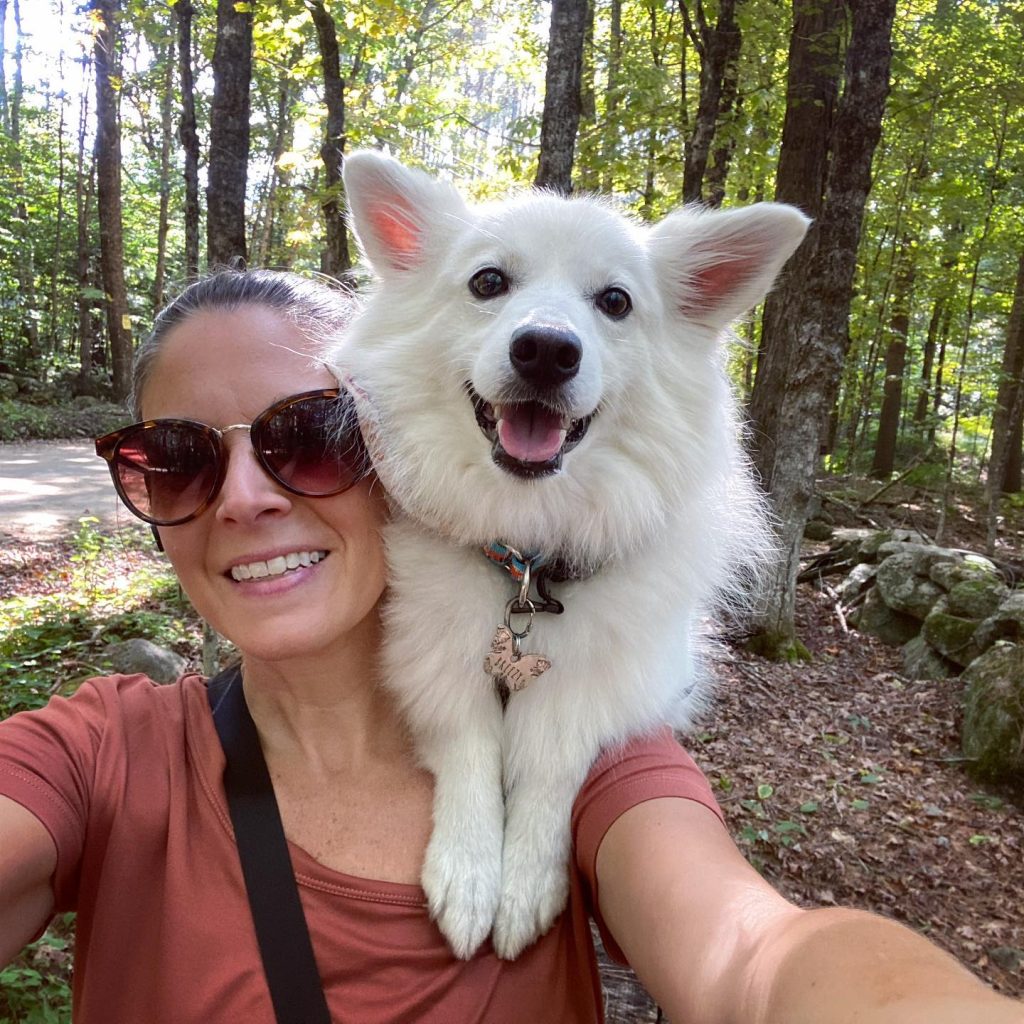 American Eskimo Dog